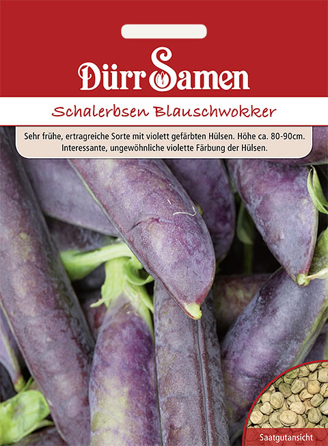 Schalerbsen Blauschwokker