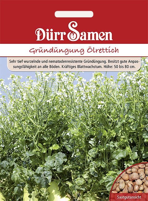 Gründüngung Ölrettich 1 kg