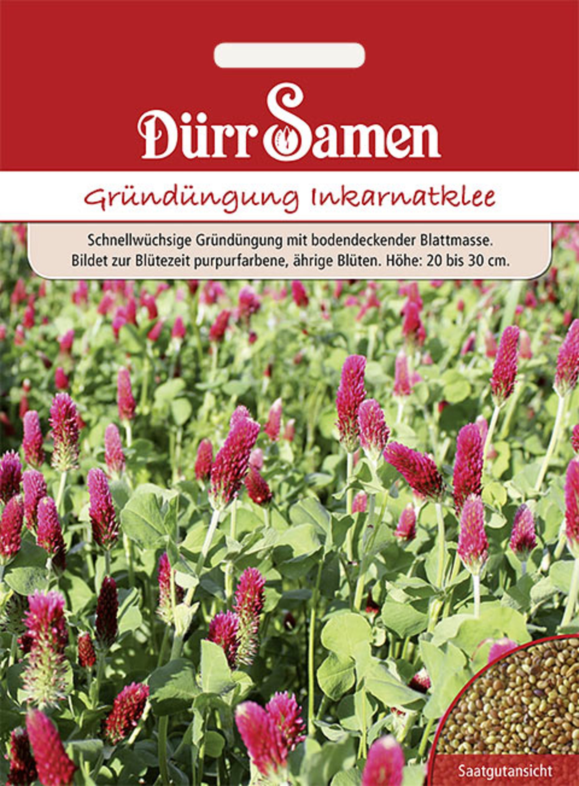 Gründüngung Inkarnatklee 75 g