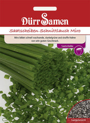 Saatscheiben Schnittlauch Miro