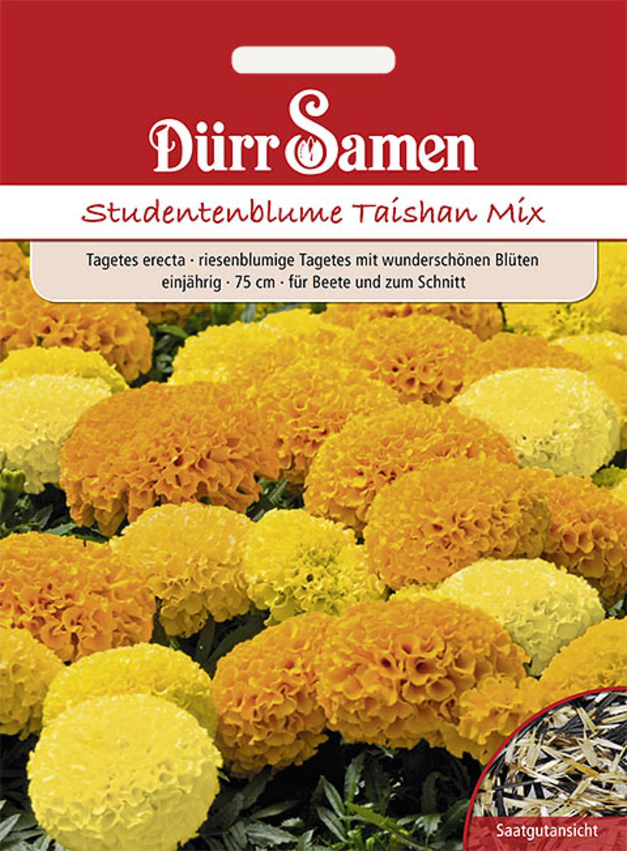 Studentenblumen Taishan Mix hoch gelbe und orangene