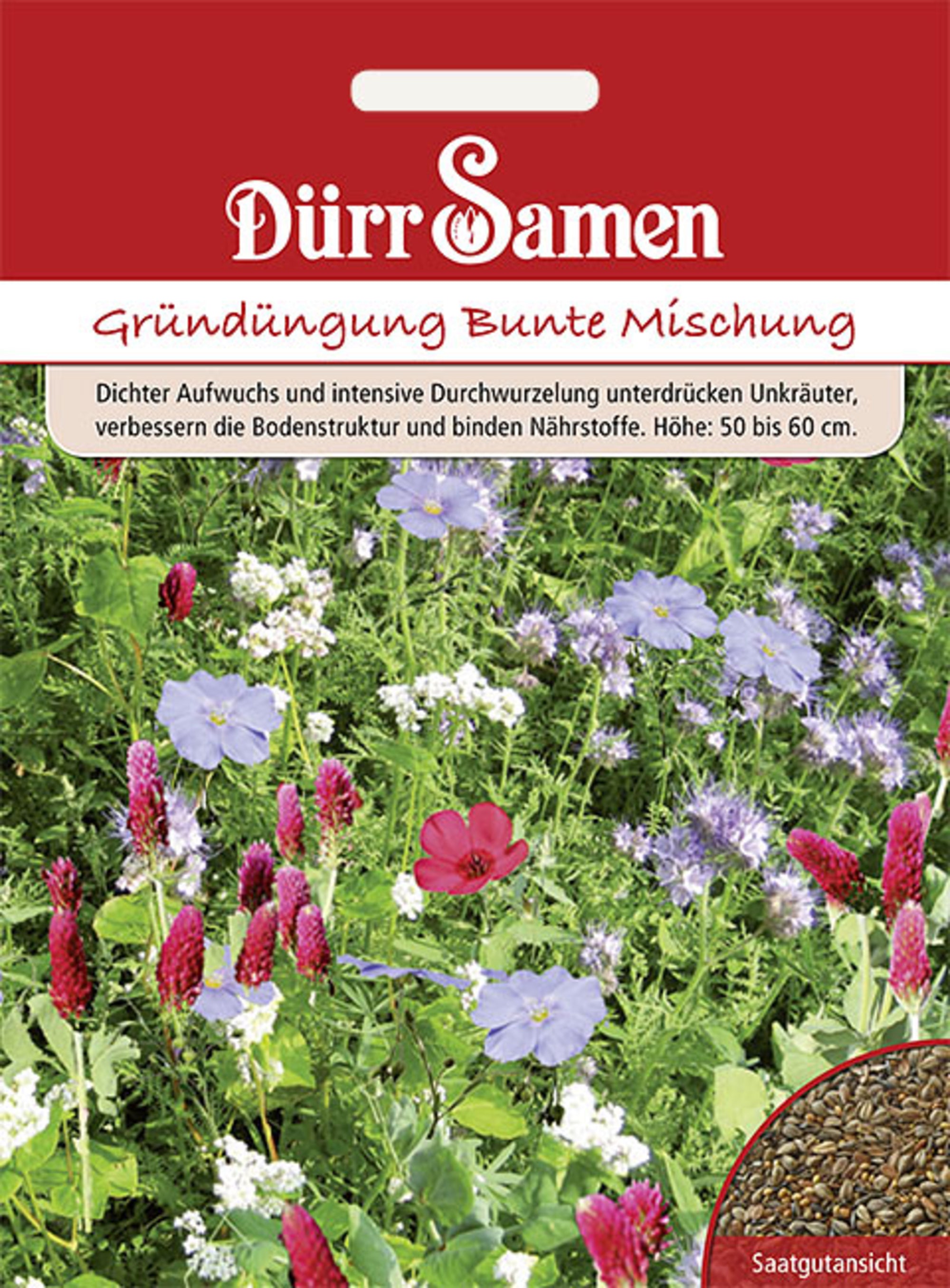 Gründüngung Bunte Mischung 50 g