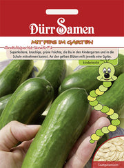 Kindersorte Snackgurken Iznik F1
