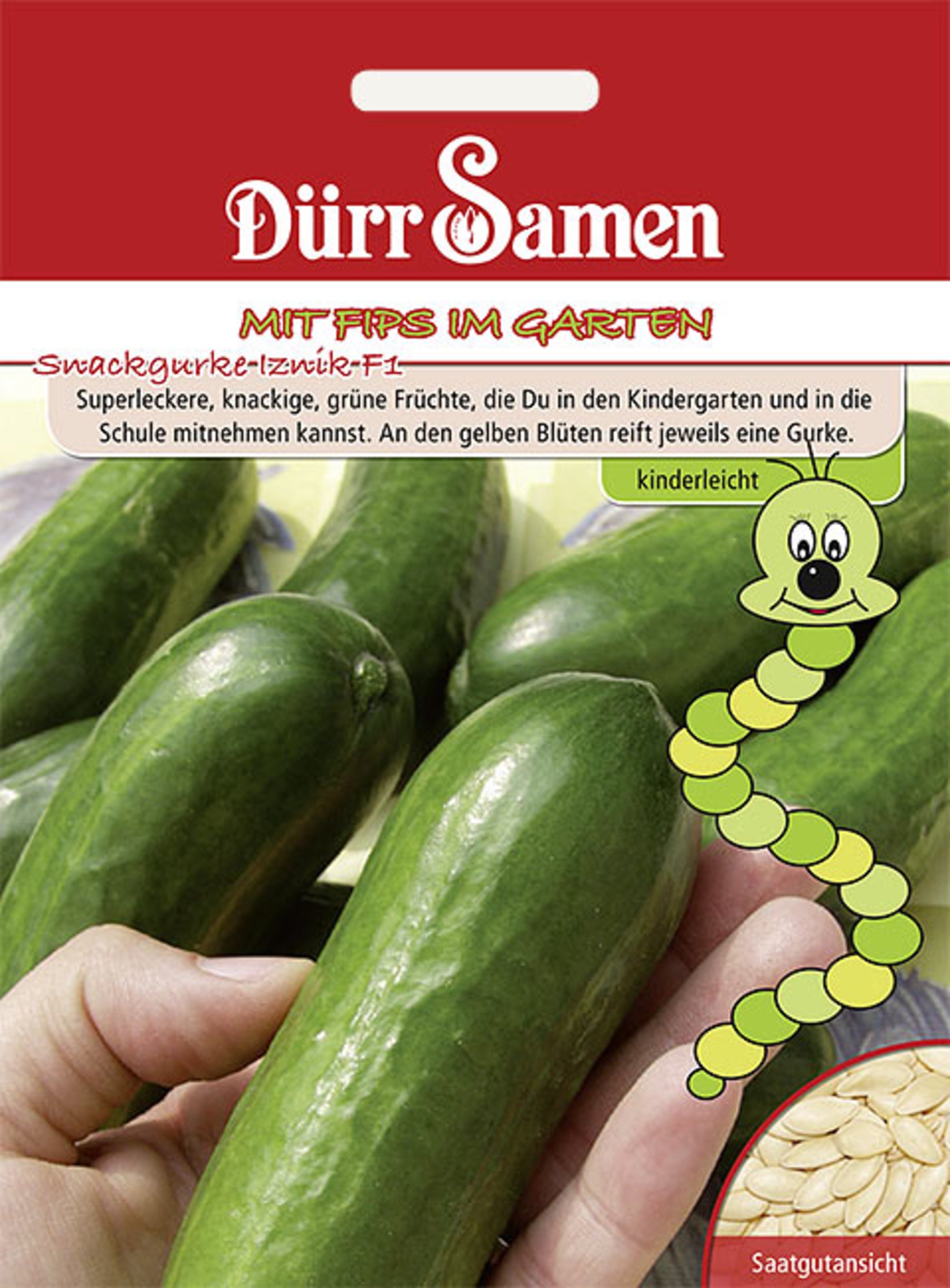 Kindersorte Snackgurken Iznik F1