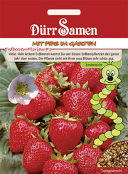 Kindersorte Erdbeeren Florian F1