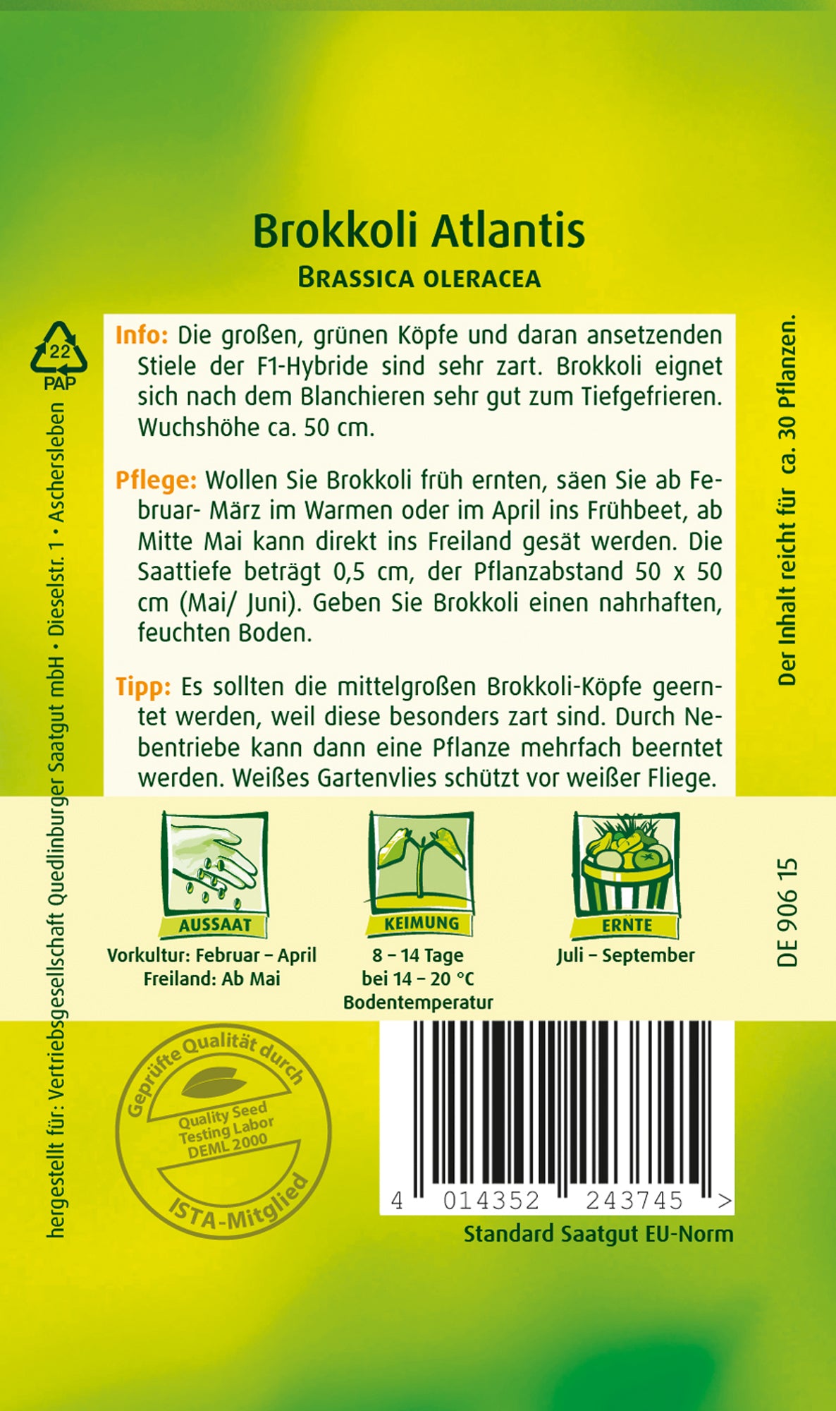 Brokkoli Atlantis F1