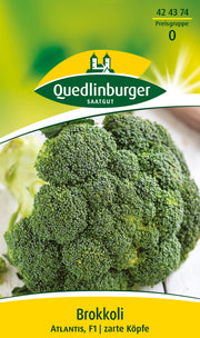 Brokkoli Atlantis F1