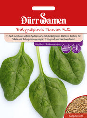 Babyspinat Toucan RZ