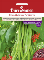 Feuerbohnen Firestorm