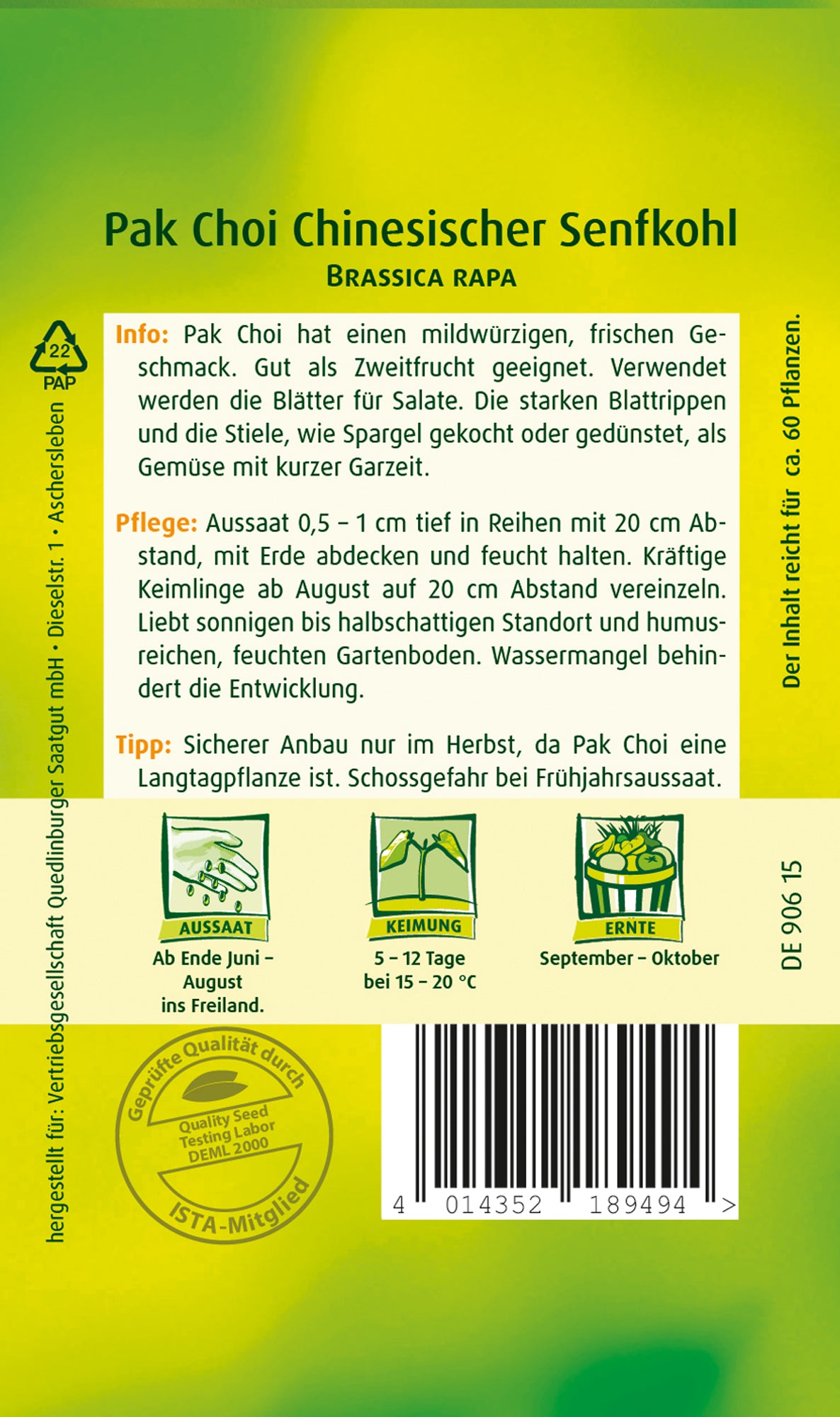 Pak Choi Chinesischer Senfkohl