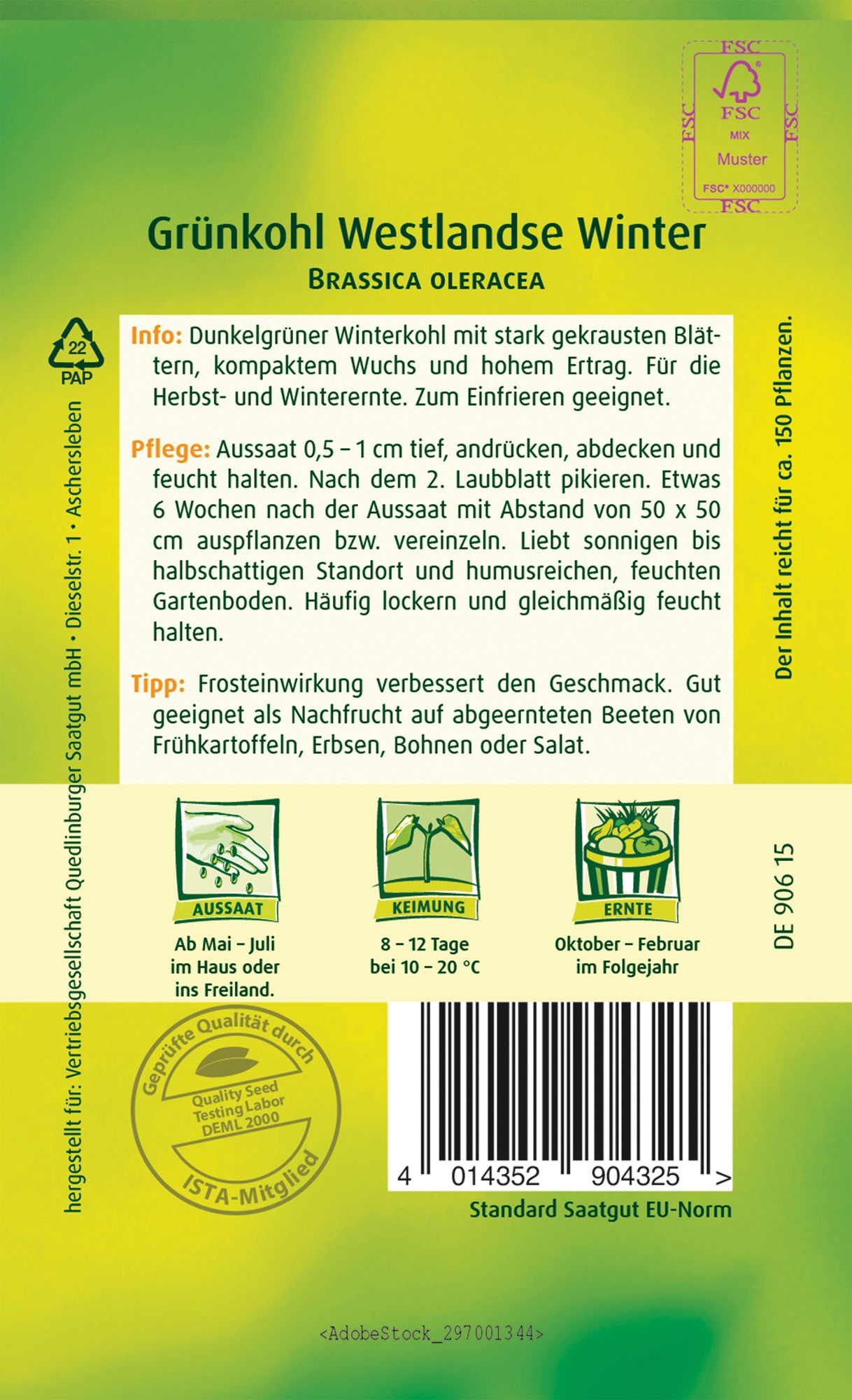 Grünkohl Westlandse Winter