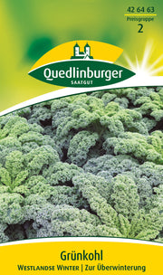 Grünkohl Westlandse Winter