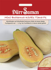 Mini-Butternut-Kürbis Tiana F1