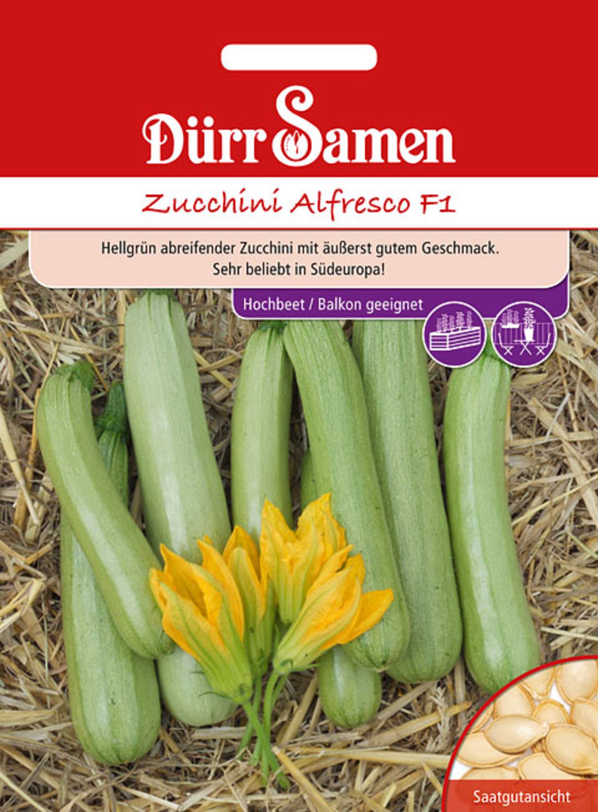 Zucchini Alfresco F1
