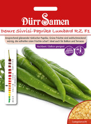 Demre Sivrisi-Paprika Lumbard RZ F1