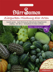 Ziergurken Bunte Mischung aller Arten einjährig 120-180 cm