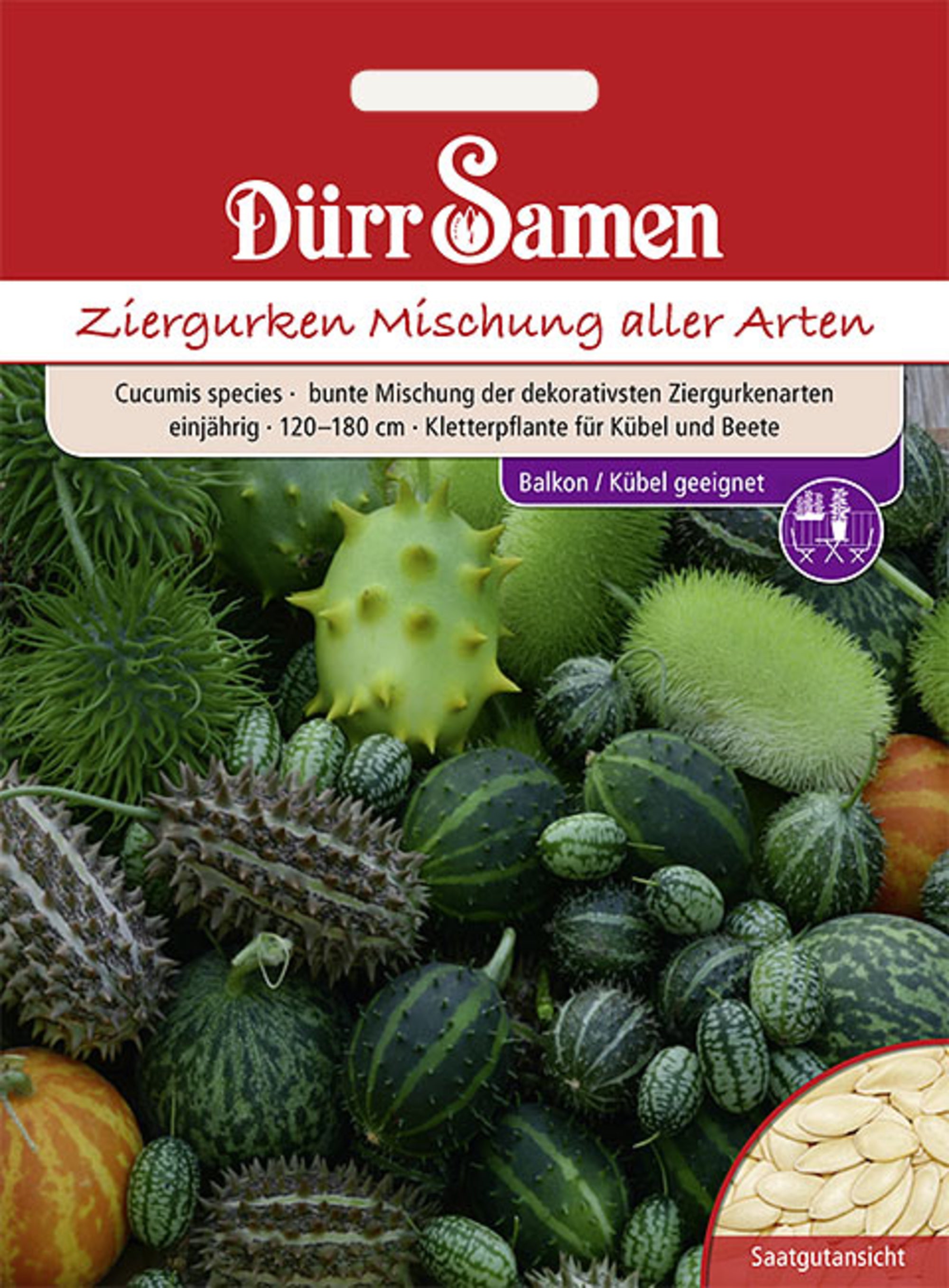 Ziergurken Bunte Mischung aller Arten einjährig 120-180 cm