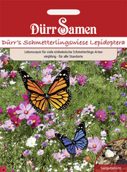 Blumenmischung Schmetterlingswiese Lepidoptera 1 kg einjährig