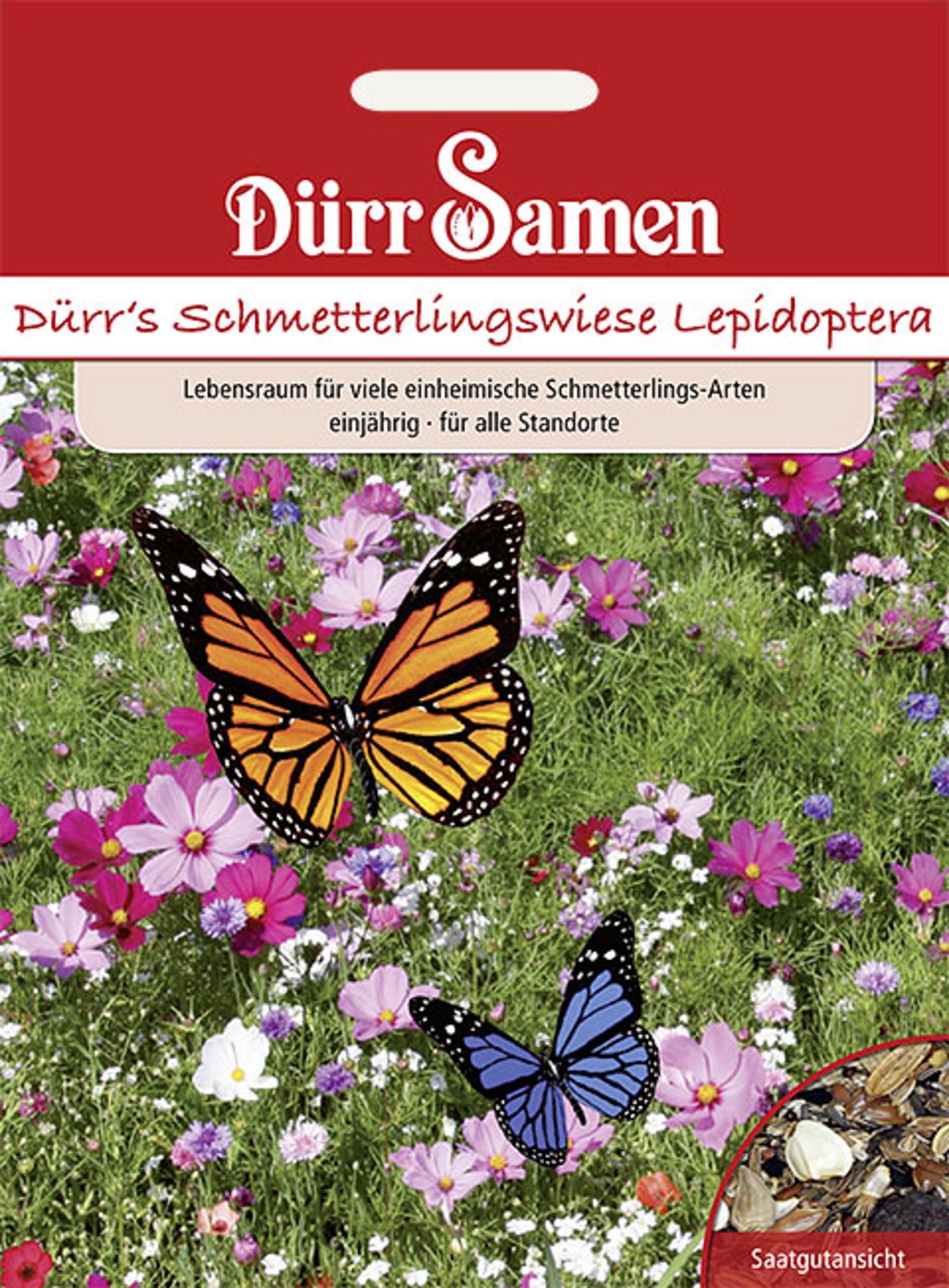 Blumenmischung Schmetterlingswiese Lepidoptera 1 kg einjährig