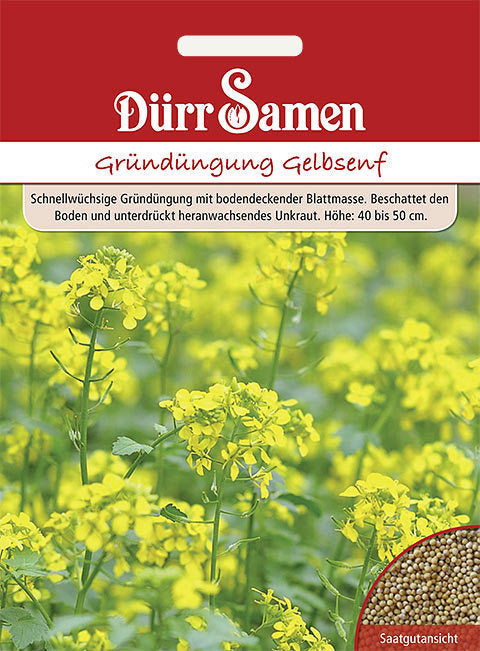 Gelbsenf (250 g für 50 m2)