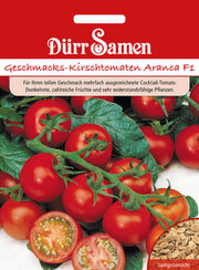 Geschmacks-Kirschtomaten Aranca F1