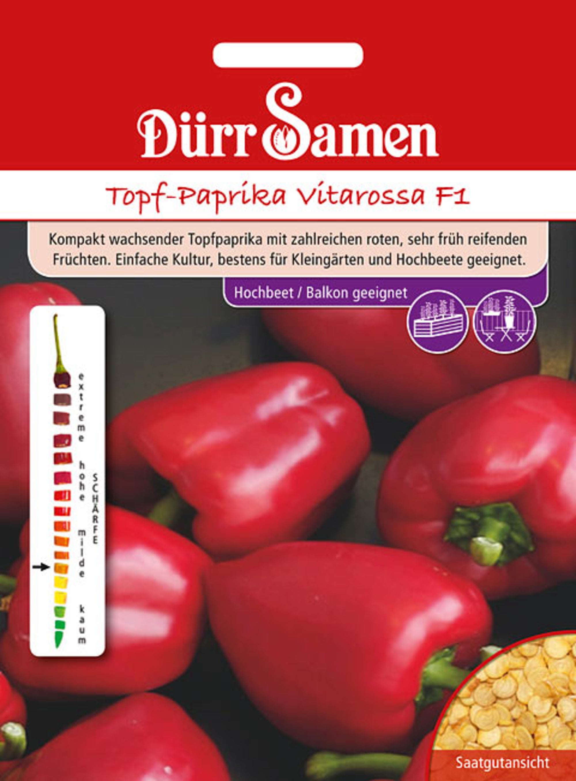 Topf-Paprika Vitarossa F1