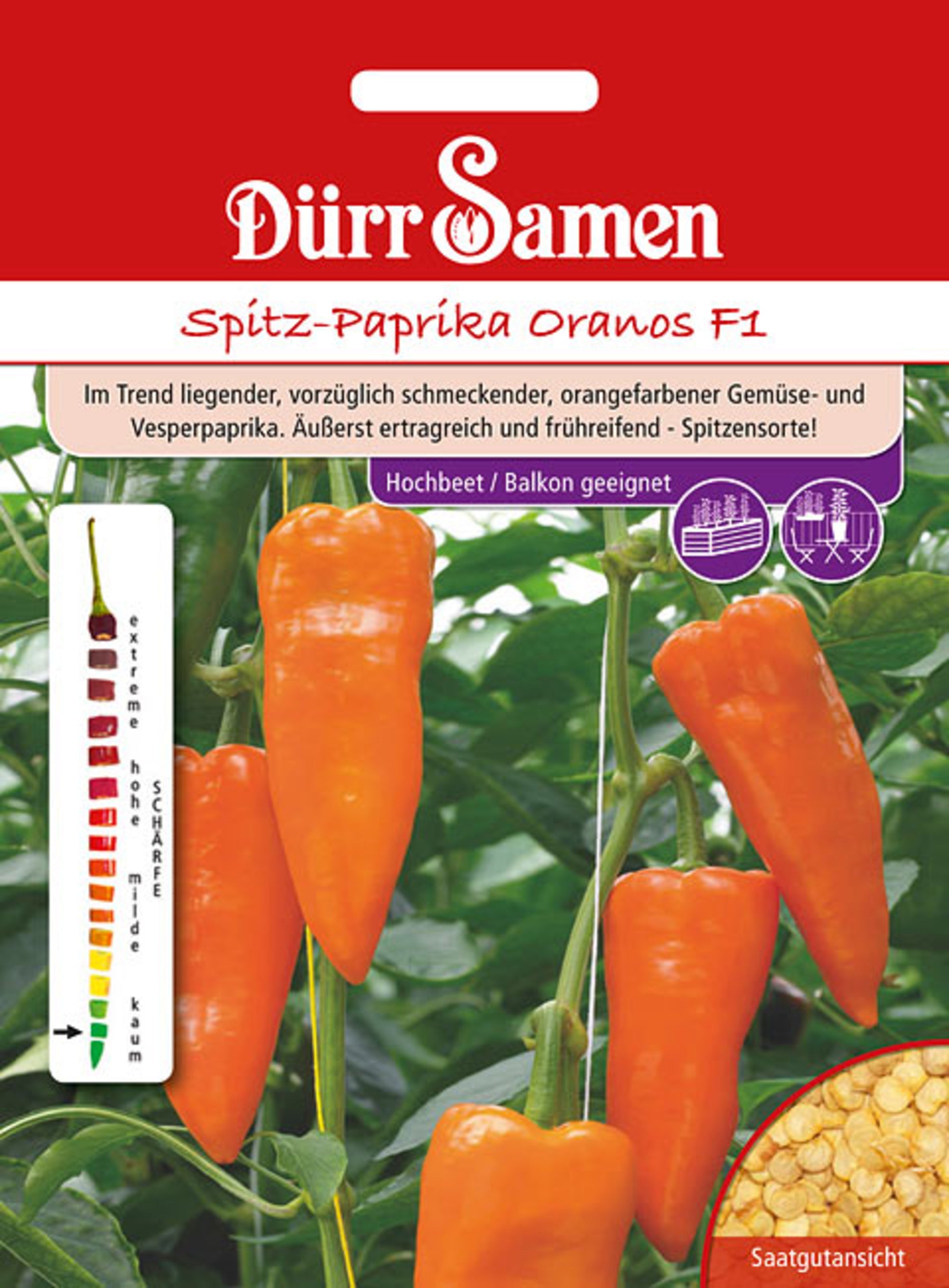 Spitz-Paprika Oranos F1