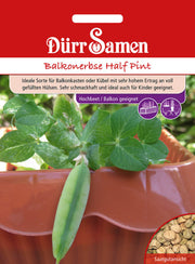 Balkonerbsen Half Pint