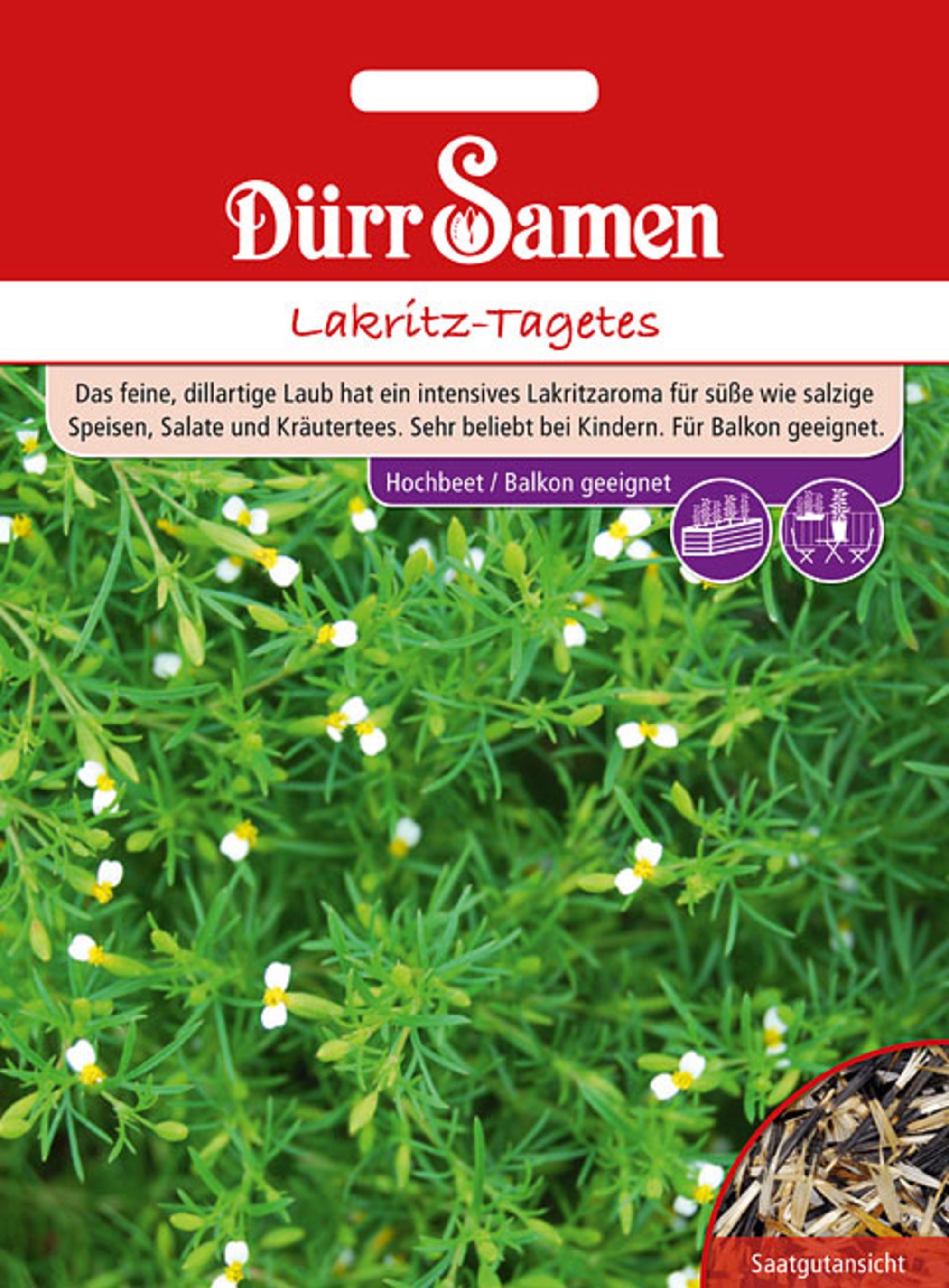 Lakritz-Tagetes