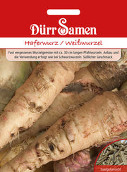 Haferwurz / Weißwurzel