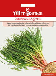 Salzkraut Agretti