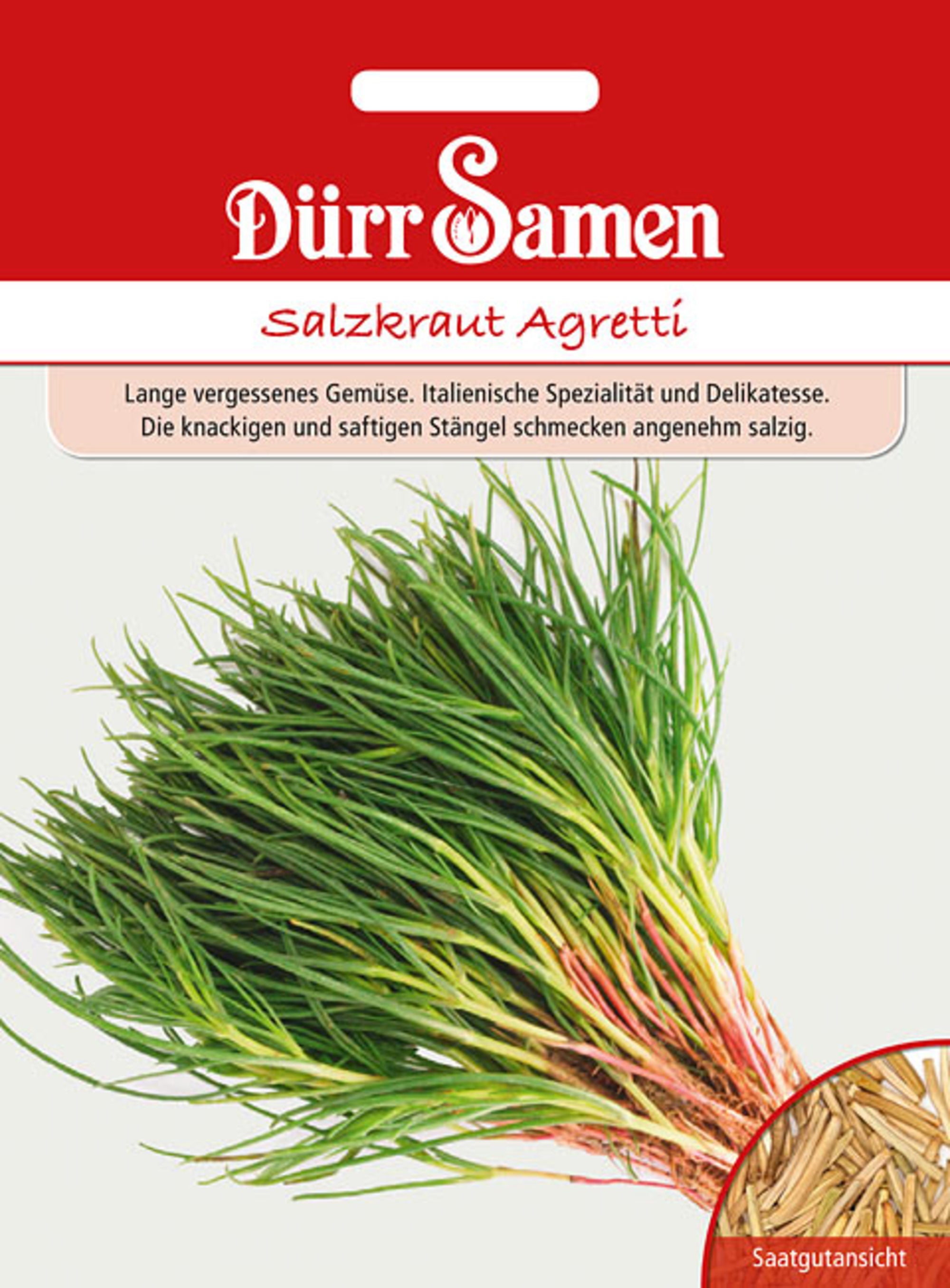 Salzkraut Agretti