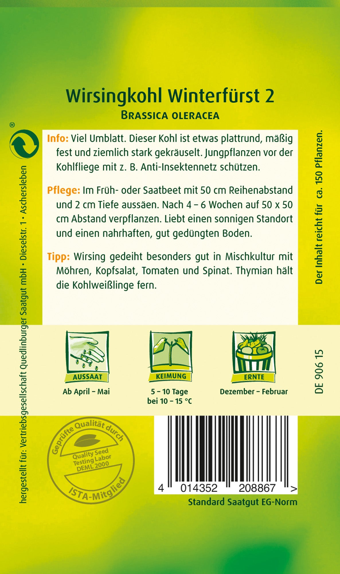 Wirsingkohl Winterfürst 2