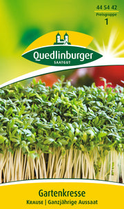 Gartenkresse Krause