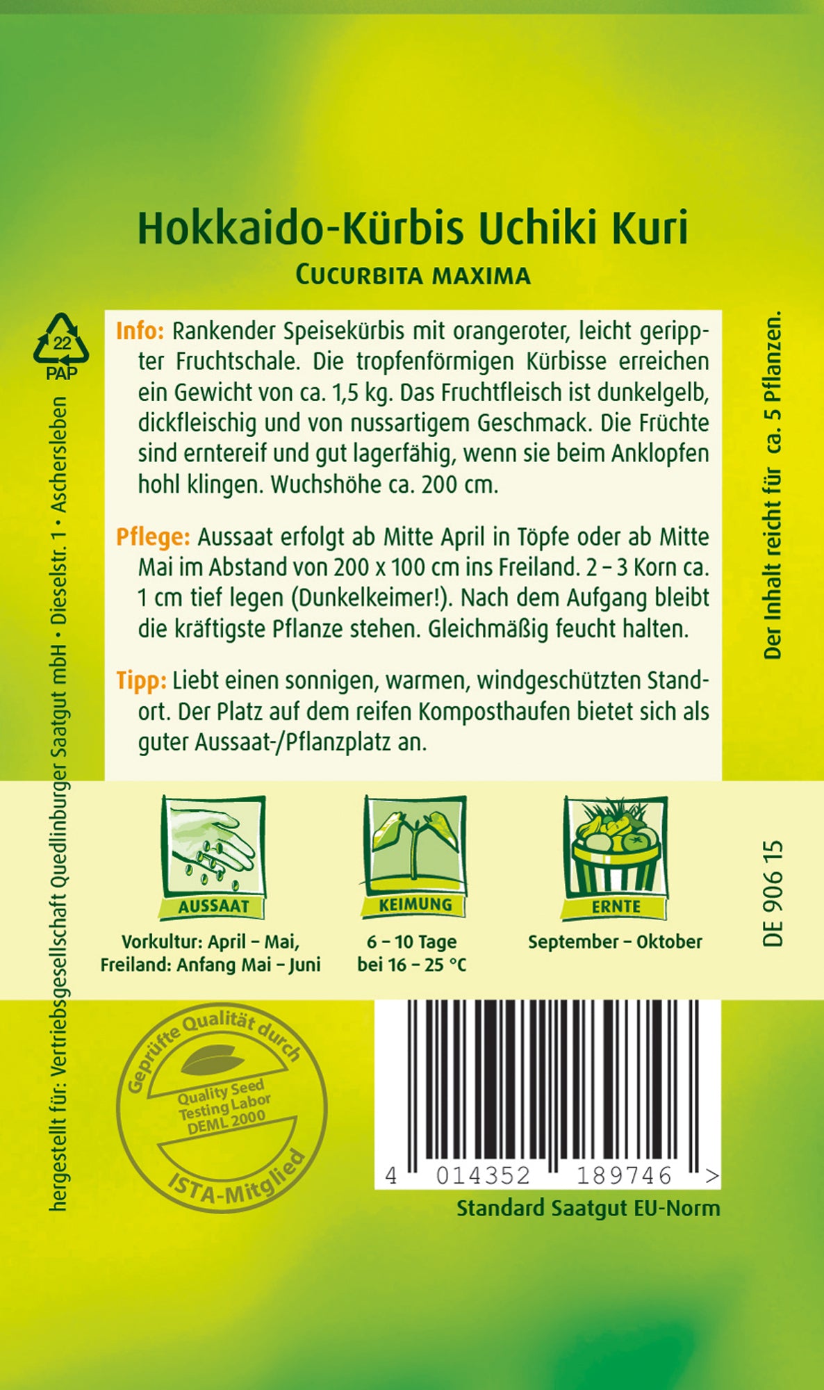 Hokkaido-Kürbis Uchiki Kuri