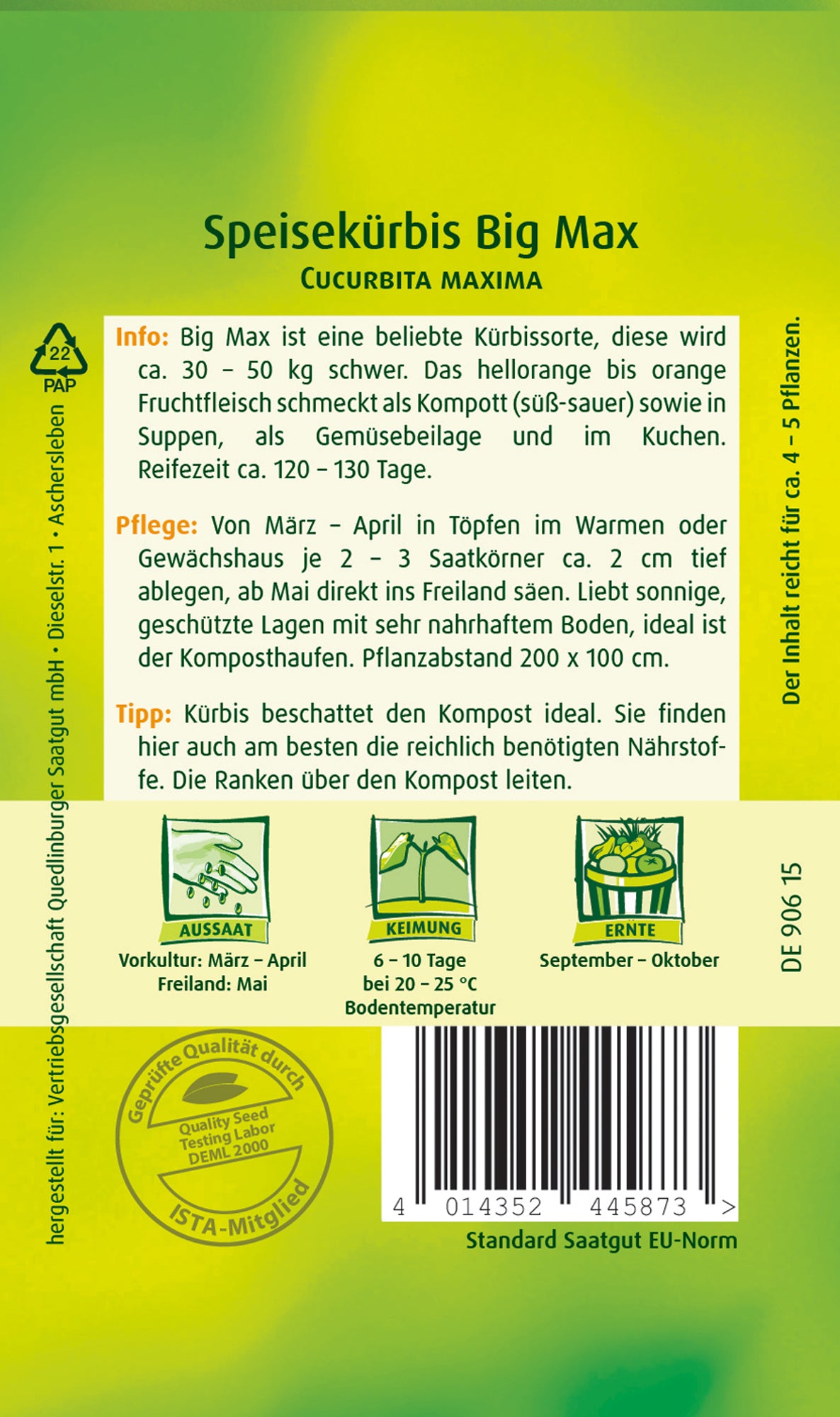 Speisekürbis Big Max