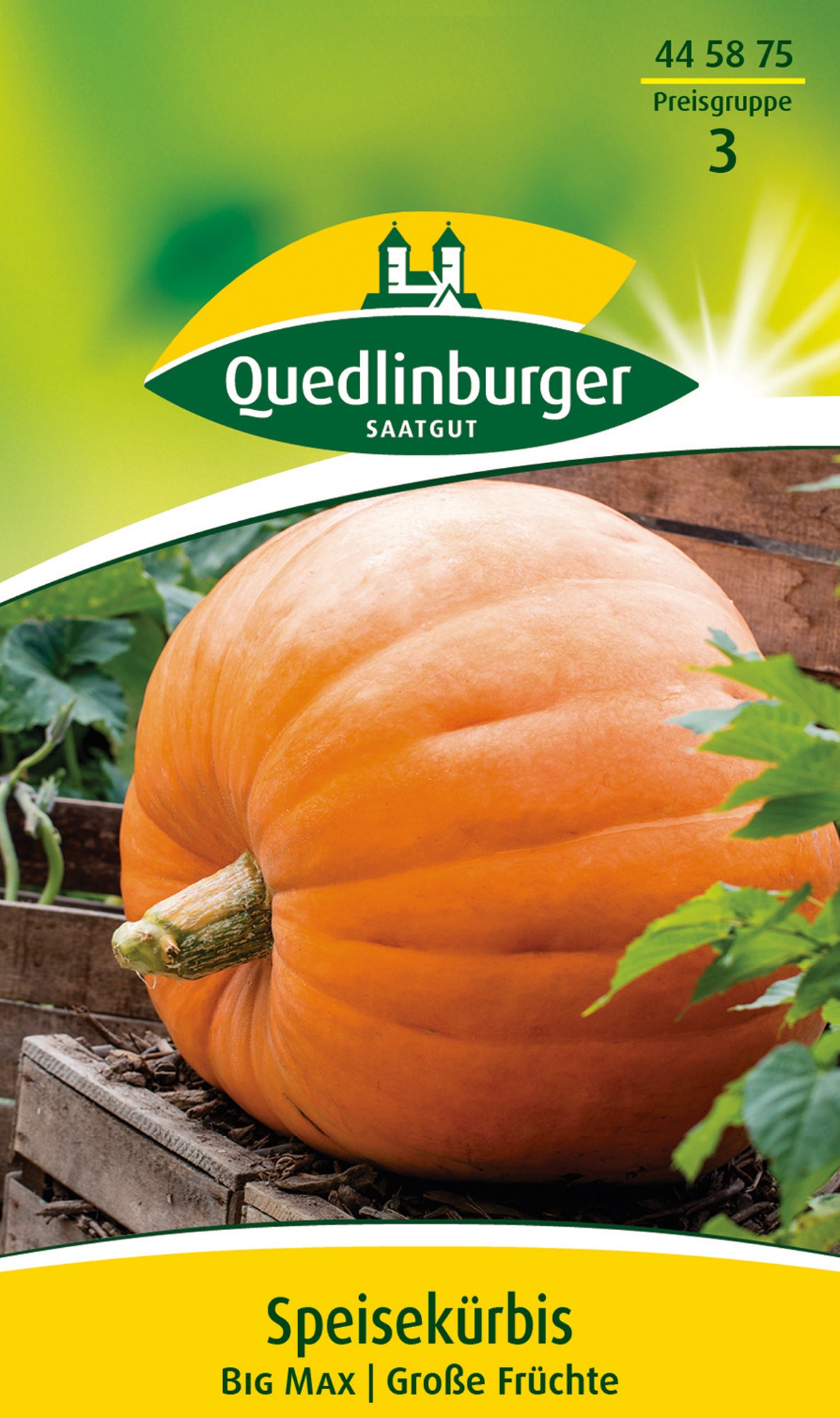 Speisekürbis Big Max