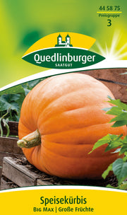 Speisekürbis Big Max