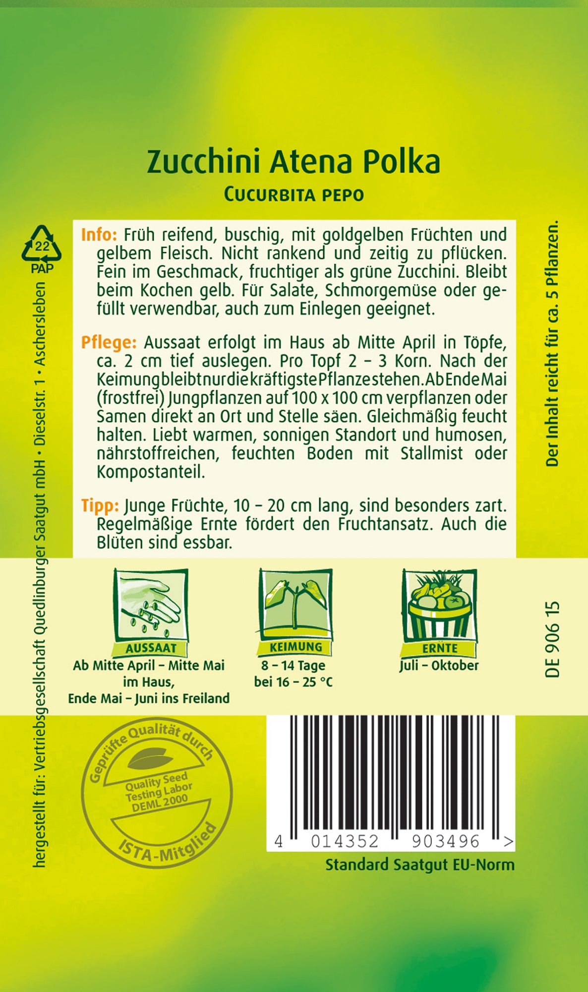 Zucchini gelb Atena Polka