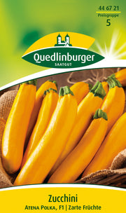 Zucchini gelb Atena Polka