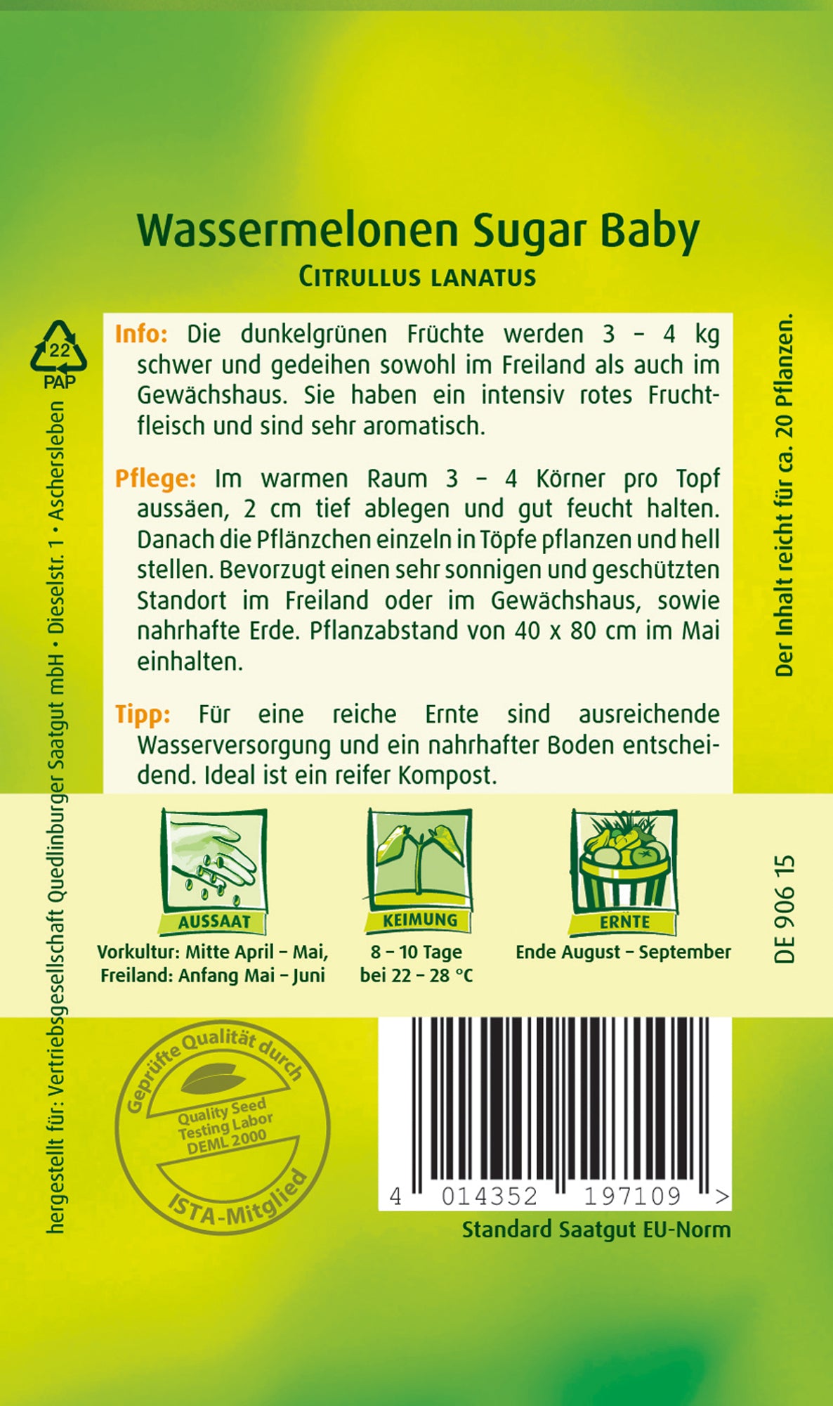 Wassermelonen Sugar Baby