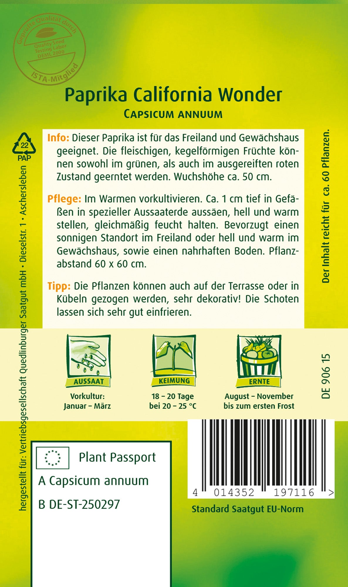 Paprika California Wonder