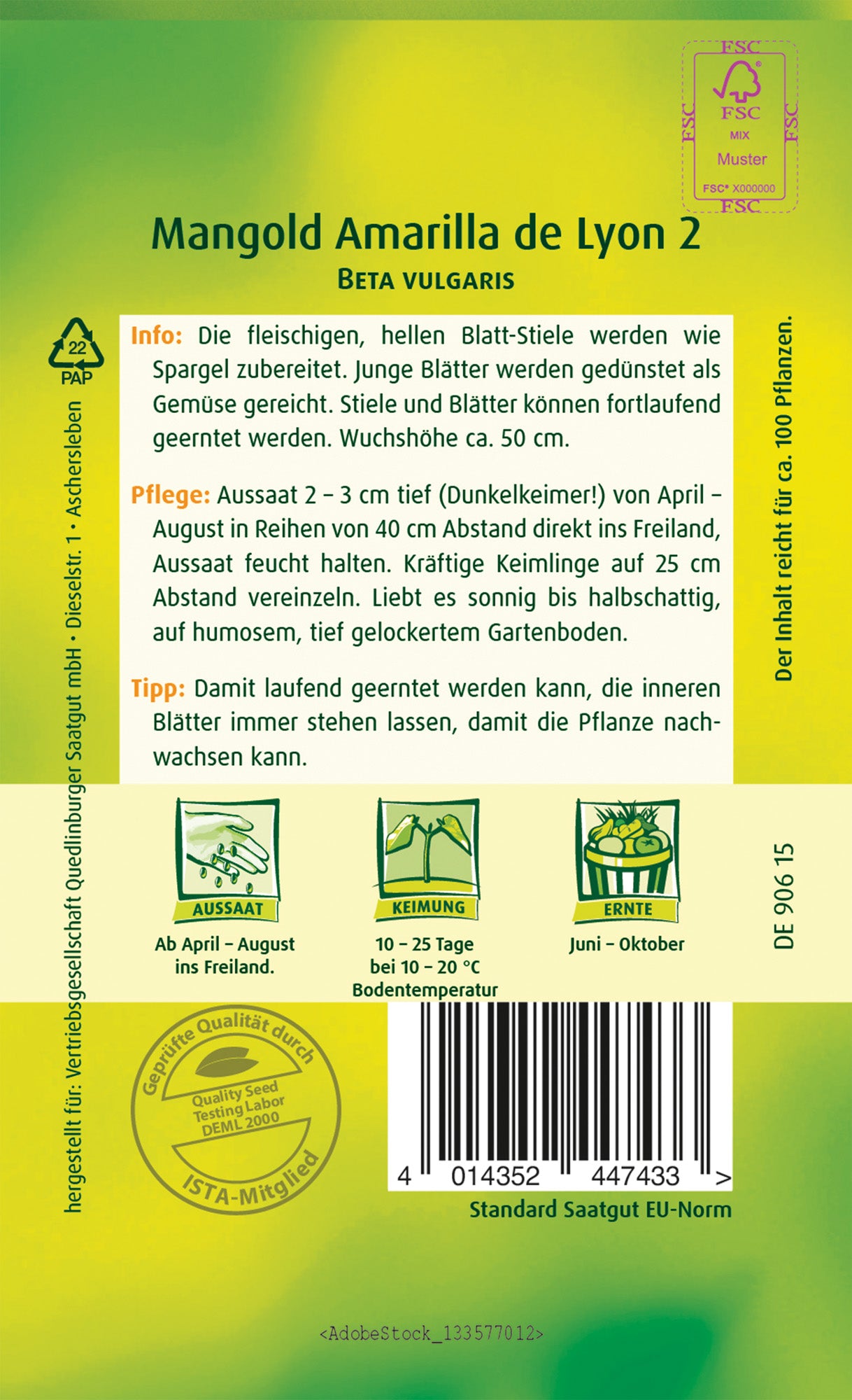 Mangold Amarilla de Lyon 2