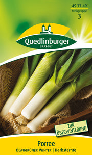 Porree Blaugrüner Winter