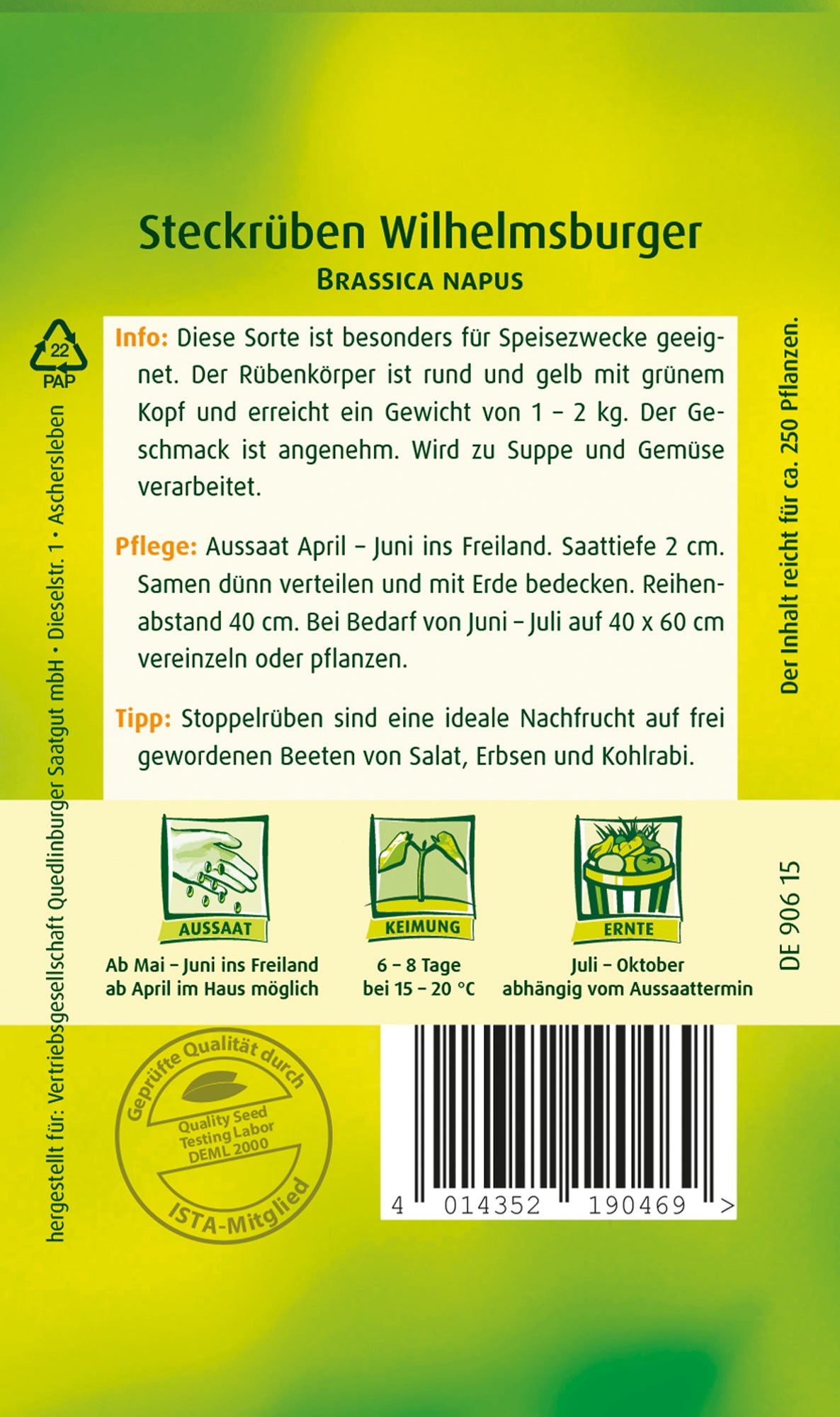 Steckrübe Wilhelmsburger