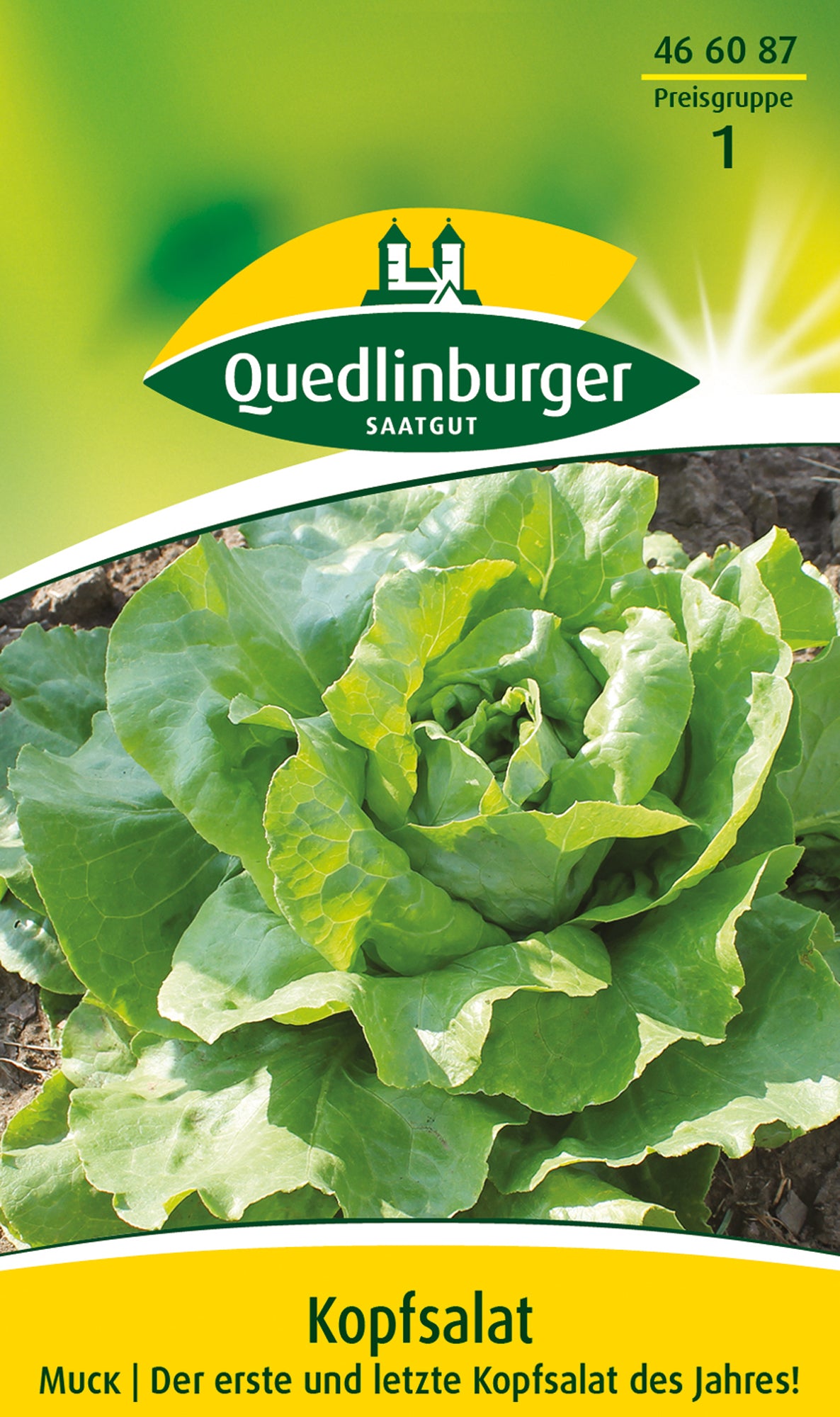 Kopfsalat Muck
