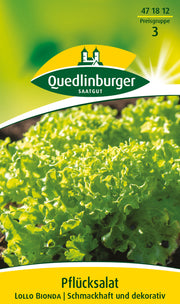 Pflücksalat Lollo bionda