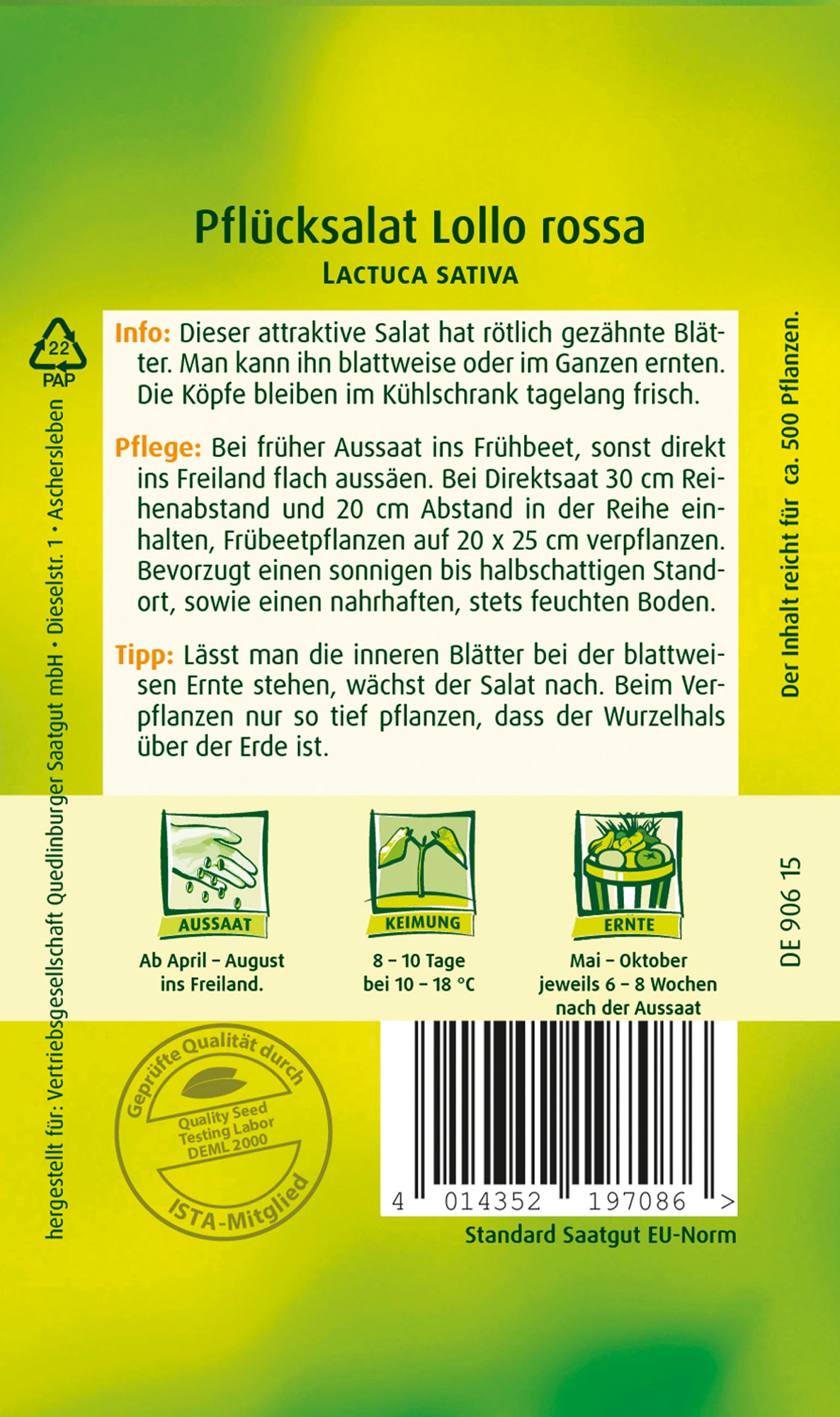 Pflücksalat Lollo rossa