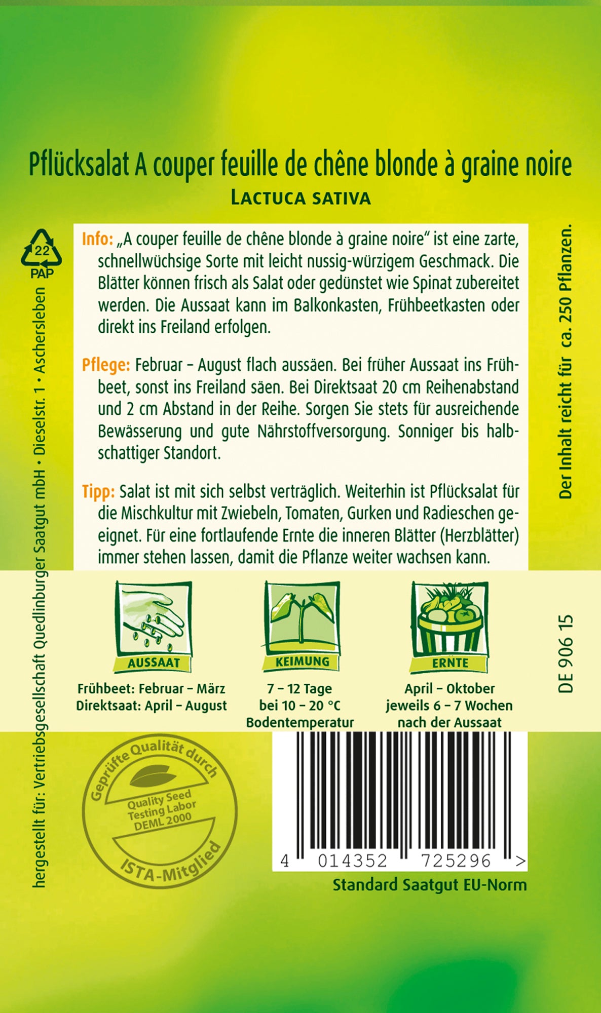 Salat A couper feuille de chen