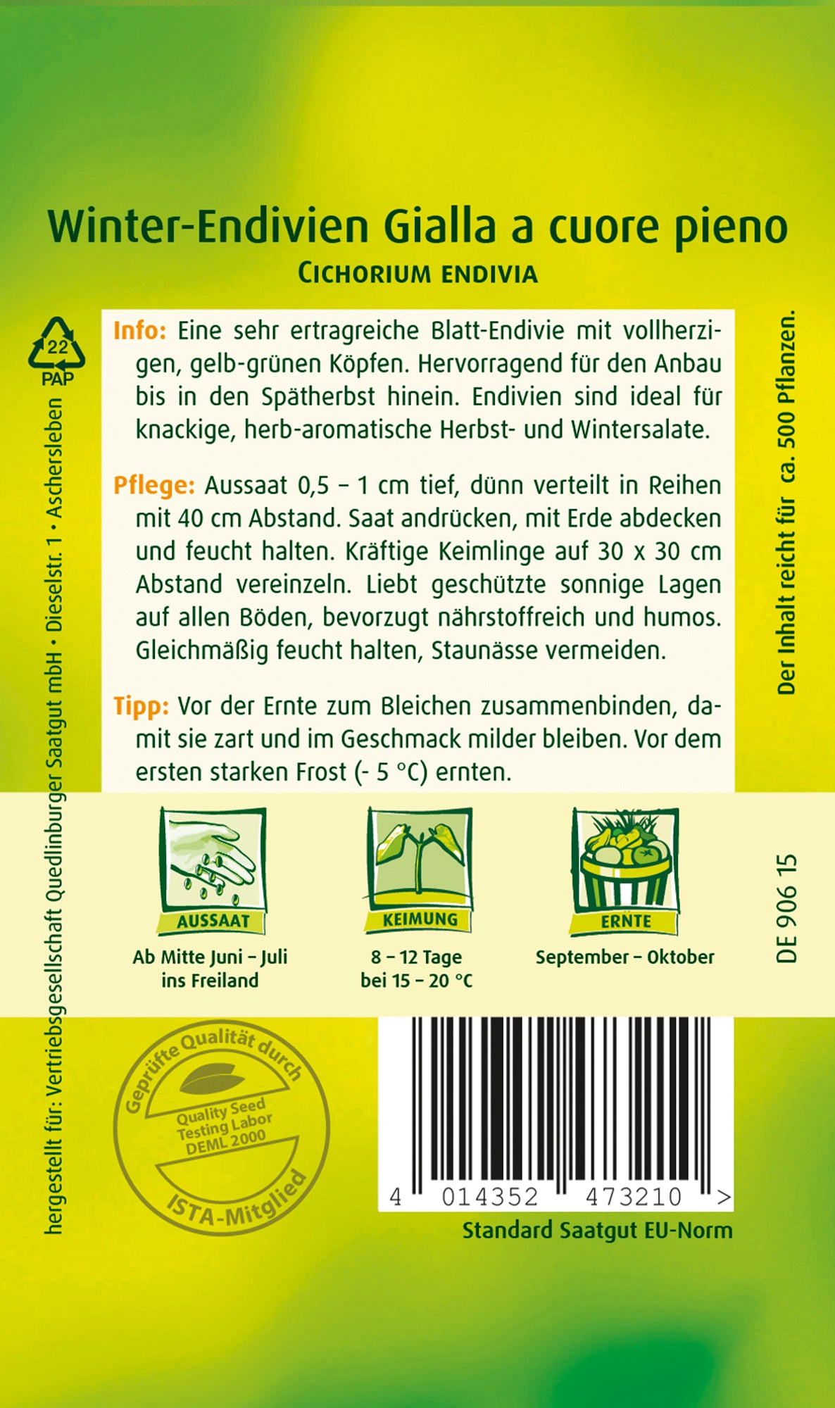 Winterendivien Gialla a cuore